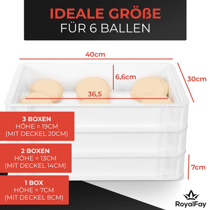 RoyalFay Pizzaballenbox 3er Set Gärbox 30x40x8 cm mit Deckel, weiss