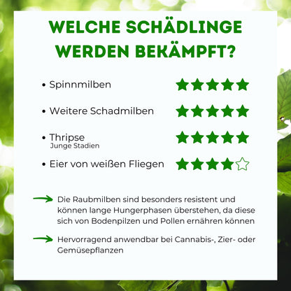 Futeco® Raubmilben MIX Nützlinge – Spinnmilben & Thripse, 60 Tüten