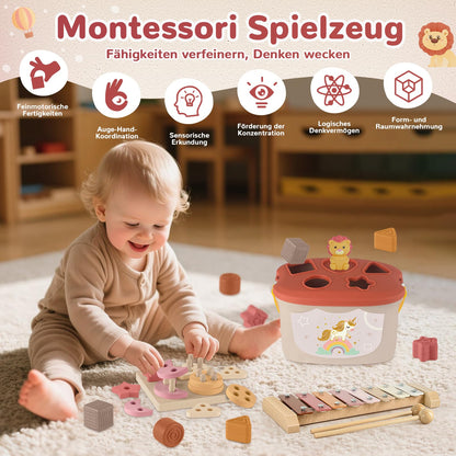 Almaxi 5-in-1 Montessori-Spielzeug ab 6 Monate, Motorikspielzeug