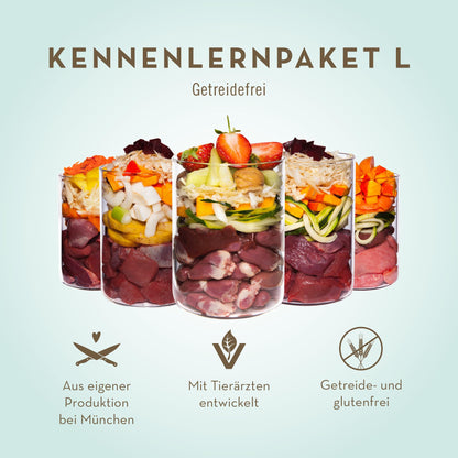 Terra Canis Kennenlernpaket L Hundenassfutter getreidefrei 9 x 400 g