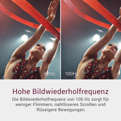 Dell 27 Zoll Monitor SE2725HM - Full HD 100Hz IPS, Schwarz