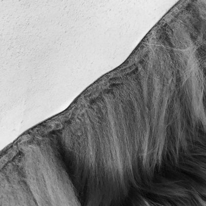 MYLUNE HOME Lammfell Teppich – Echt gross 170x60cm Grau