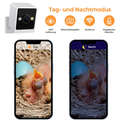 RAINBEAN Nistkasten mit Kamera, 4 MP Vogelhaus aus Zedernholz mit WLAN