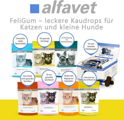 Alfavet Feligum Struvit Kaudrops, Katzen und kleine Hunde, Doppelpack