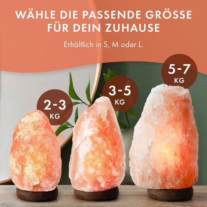The Body Source Salzlampe 5-7 kg mit Dimmer und Holzständer