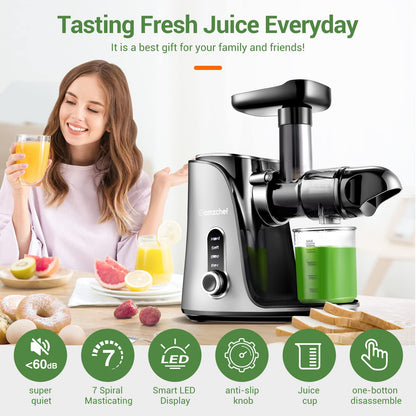 AMZCHEF Slow Juicer Entsafter mit 2 Geschwindigkeiten Grau