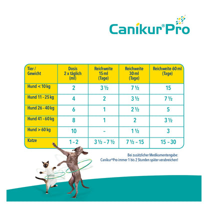 Boehringer Ingelheim Canikur Paste Ergänzungsfutter - Doppelpack 2x60ml