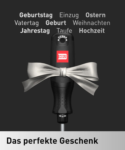 INBUS Flow 73424 Ratschen-Schraubendreher mit 12 Bits