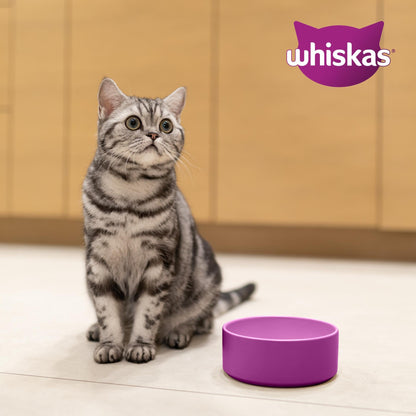 WHISKAS Trockenfutter Adult 1+ mit Thunfisch für Katzen, 3 x 3,8 kg