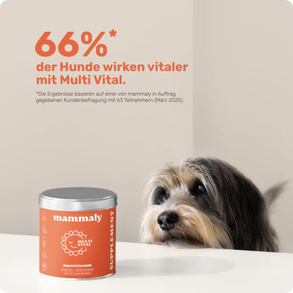 mammaly Multi Vital Multivitamin Snacks für Hunde, 120 Stück, 350 g