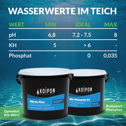 KOIPON Fadenalgen-Vernichter Teich-Algenmittel - 2.5 kg