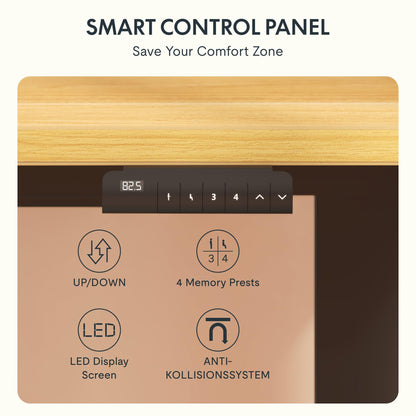 FLEXISPOT E1 PRO Elektrisches höhenverstellbares Tischgestell – Schwarz