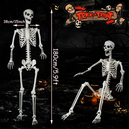 HorrorHaus 180cm Posierbares Ganzkörper Skelett – Halloween Deko 180-1P