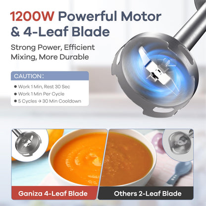 Ganiza 10-in-1 Stabmixer 1200W mit Doppel-Milchaufschäumer