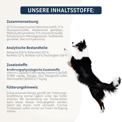 PetFokus Agility Complete Gelenkpulver für Hunde mit Grünlippmuschel