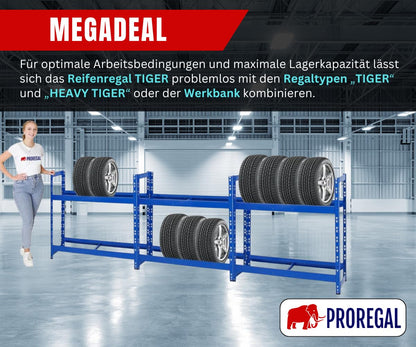 PROREGAL Reifenregal Tiger RT24-01, 2 Ebenen, 150 kg Fachlast, blau