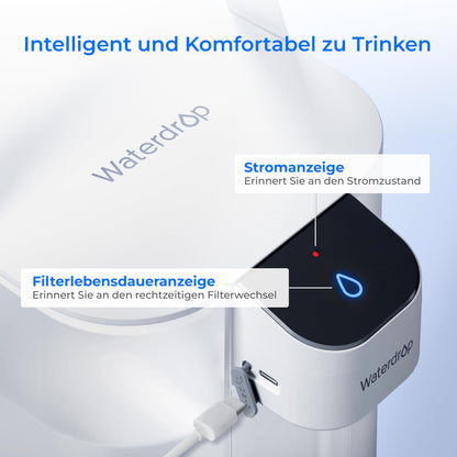 Waterdrop Elektrische Wasserfilterkanne WD-ED01W, 3,5 L, weiss
