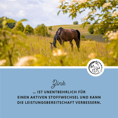 Annimally Zink Pellets für Pferde mit Schwarzkümmel, 2 kg