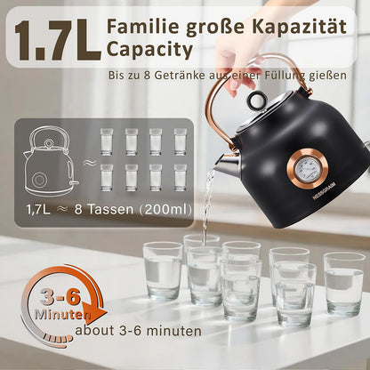 NESSGRAIM Retro-Wasserkocher 1,7 l Edelstahl mit Temperaturanzeige