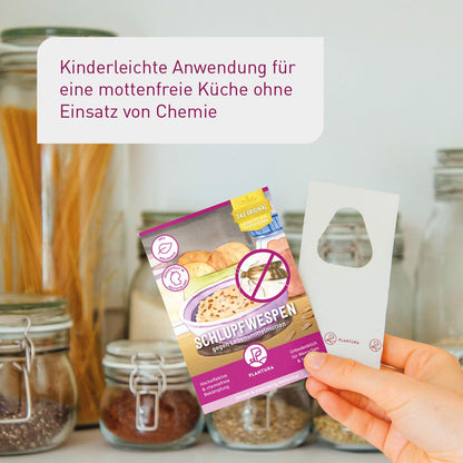 Plantura Schlupfwespen gegen Lebensmittelmotten – 18 Karten Komplett-Lösung