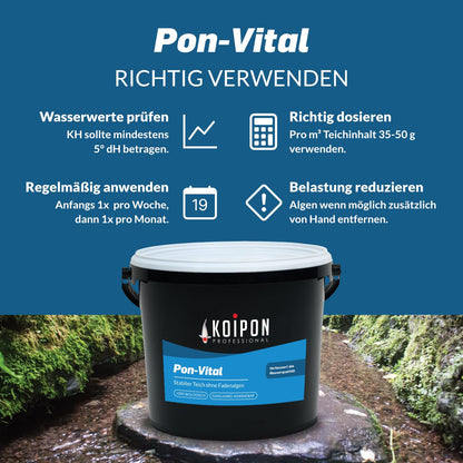 KOIPON Pon-Vital 2,5 kg – biologische Teichpflege gegen Fadenalgen