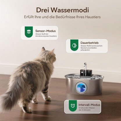 PEKTACO Katzenbrunnen Edelstahl, kabelloser Trinkbrunnen mit Akku
