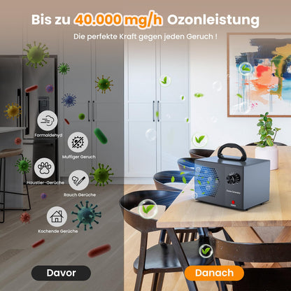 CFEN Ozongenerator HS-G05 Luftreiniger 40000 mg/h bis 300 m²