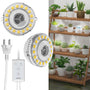 SANSI LED Pflanzenlampe 10W Vollspektrum, 2-Kopf mit Timer – hängende Ausführung für Zimmerpflanzen