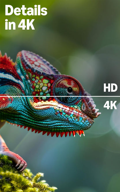 Amazon Ember 4-Serie 50 Zoll 4K Ultra HD Smart TV mit Fire TV