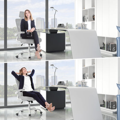 naspaluro Bürostuhl, Ergonomischer Schreibtischstuhl mit Verstellbarer Kopfstütze, Armlehnen, Dynamischer Lordosenstütze, Drehstuhl mit Atmungsaktivem Netzbezug für das Home Office,Grau