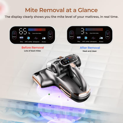 JIGOO T600 Milbensauger mit UV-Licht & Heissluft - 700W