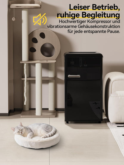 Devoko 75L Retro Kühlschrank mit Gefrierfach Schwarz