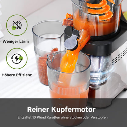 AMZCHEF Slow Juicer Entsafter mit 115MM Einfüllöffnung