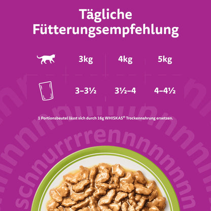 Whiskas Senior 7+ Katzennassfutter Gemischte Auswahl in Gelee 84x85g