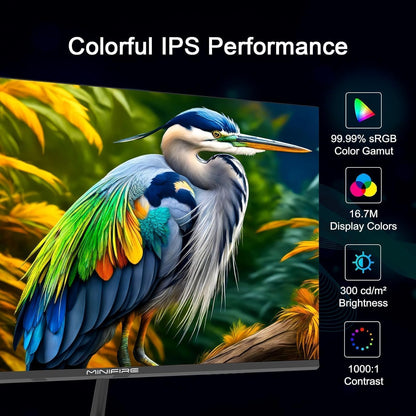 Minifire MF27X3AL 27 Zoll FHD 100Hz Monitor - Eye-Care