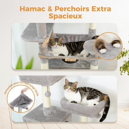PAWZ Road Kratzbaum für Grosse Katzen, Stabil 184 cm – Grau
