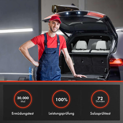 Frankberg 2x Elektrische Gasfeder Heckklappe - Octavia III 5E5 Kombi