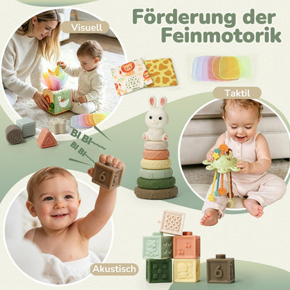 Auezona Montessori Spielzeug ab 6 Monaten, 5-in-1 Baby Lernspielzeug