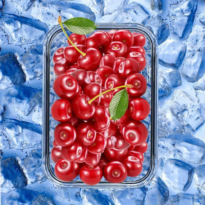 GENICOOK Lunchbox Bento Brotdose Glas 5 x 840 ml mit Lunchtasche