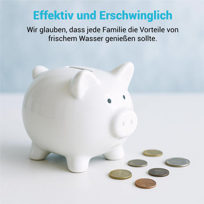 AQUA CREST Wasserfilter Ersatz für Melitta Nivona Krups – 12 Stk.