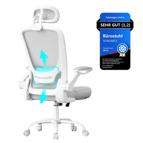 SONGMICS OBN047G01 Ergonomischer Bürostuhl – Taubengrau Mesh. Hohe Rückenlehne, Mesh-Bezug. Fördert gesundes Sitzen am Schreibtisch.