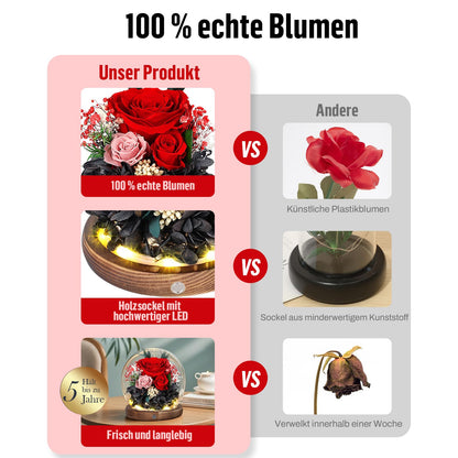 MAMAMIKO Konservierte Rose im Glas mit LED-Licht, Ewige Rose Rot