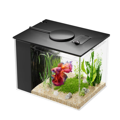 Vehipa Mini Aquarium Komplettset 3,7 L mit Filter und LED, Schwarz, Acrylbecken mit LED-Abdeckhaube und Filterpumpe
