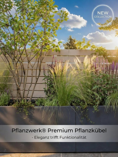 Pflanzwerk Pflanzkübel TUB Anthrazit 30x60x30 cm Fiberglas