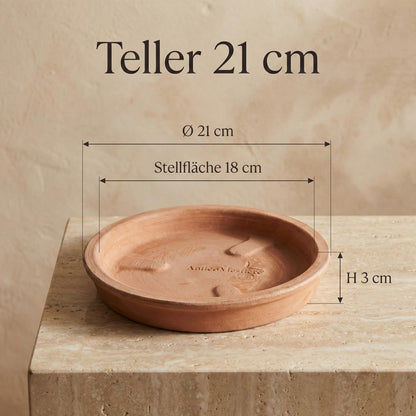 Teramico Blumentopf Terrakotta Conca Limoni mit Untersetzer 25 cm
