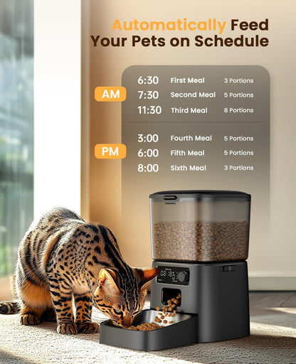 oneisall Futterautomat 3.5 L mit Timer für Katzen und Hunde