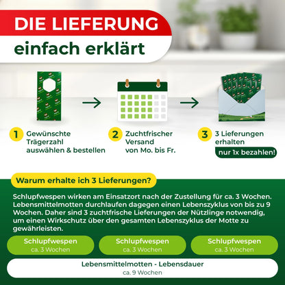 Legona® Schlupfwespen Lebensmittelmotten - 6 Karten à 3 Lieferungen