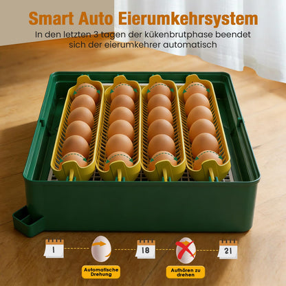 heninhill Brutautomat vollautomatisch 24 Eier Inkubator mit Eierwenden