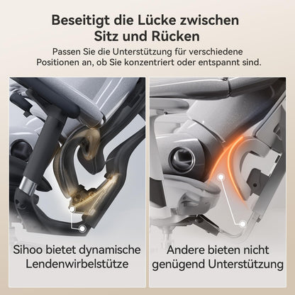 SIHOO Doro C300 Ergonomischer Bürostuhl Homeoffice Schwarz