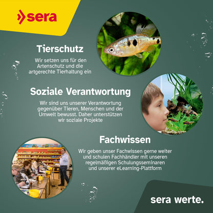 sera KOI Professional Koifutter <17°C Frühjahr/Herbst 7 kg